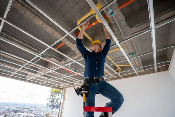 Best Best Plumbers Near Me  in Elyria, OH