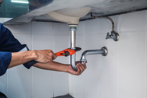 Best Drain Cleaning Services  in Elyria, OH
